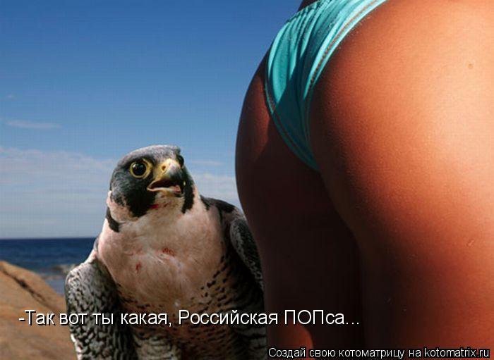 -Так вот ты какая, Российская ПОПса...... Котоматрица: -Так вот ты какая, Российская ПОПса...