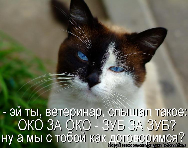 Котоматрица: - эй ты, ветеринар, слышал такое: ОКО ЗА ОКО - ЗУБ ЗА ЗУБ? ну а мы с тобой как договоримся? ОКО ЗА ОКО - ЗУБ ЗА ЗУБ?  ну а мы с тобой как договоримся