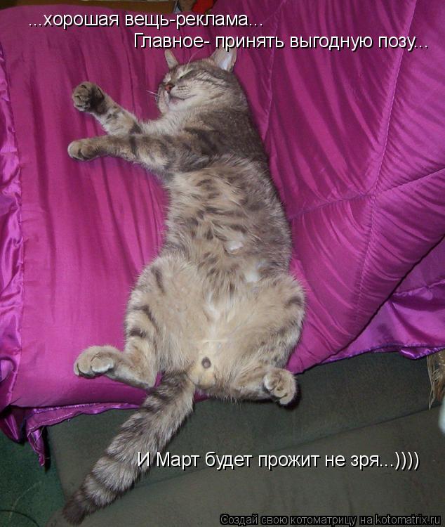 ...хорошая вещь-реклама... Главное- принять выгодную позу... И Март будет прожит не зря...))))... Котоматрица: ...хорошая вещь-реклама... Главное- принять выгодную позу... И Март будет прожит не зря...))))