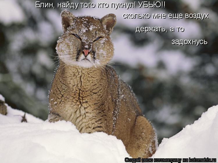 Блин, найду того кто пукнул! УБЬЮ!! Блин, найду того кто пукнул! УБЬЮ!! сколько мне еще воздух держа... Котоматрица: Блин, найду того кто пукнул! УБЬЮ!! Блин, найду того кто пукнул! УБЬЮ!! сколько мне еще воздух держать, а то задохнусь