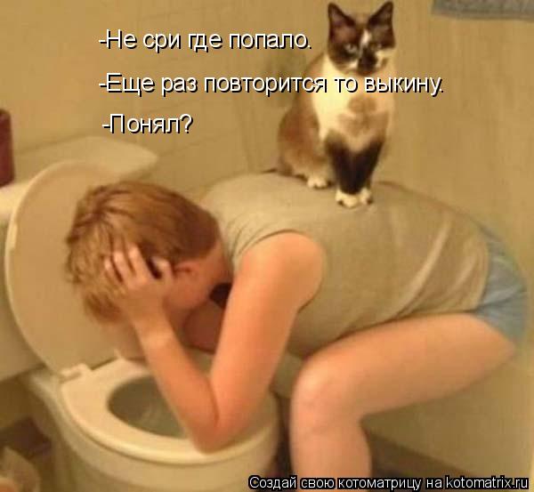 -Не сри где попало. -Еще раз повторится то выкину. -Понял?... Котоматрица: -Не сри где попало. -Еще раз повторится то выкину. -Понял?