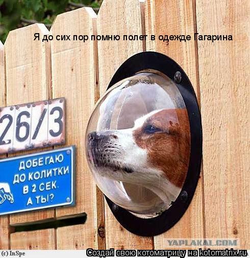 Я до сих пор помню полет в одежде Гагарина... Котоматрица: Я до сих пор помню полет в одежде Гагарина