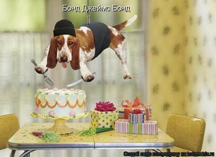 Котоматрица: Бонд Джеймс Бонд