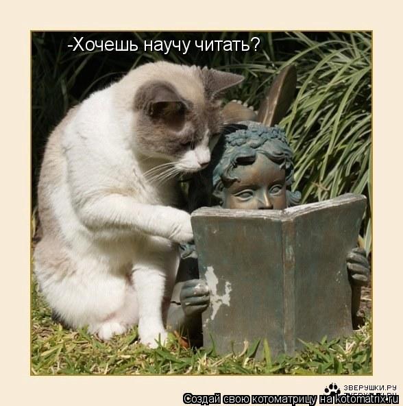 Котоматрица: -Хочешь научу читать?