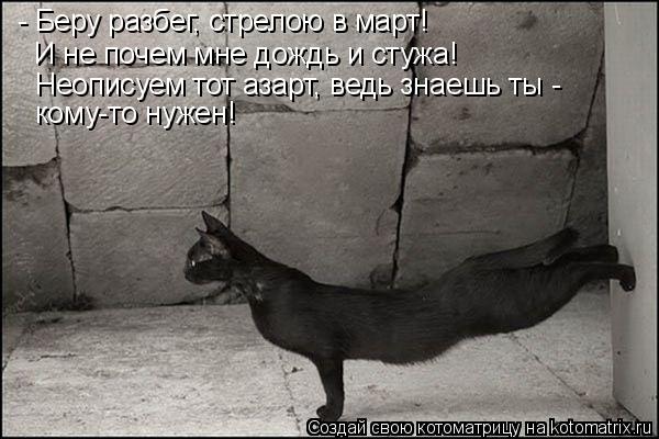 Котоматрица: - Беру разбег, стрелою в март!  И не почем мне дождь и стужа! Неописуем тот азарт, ведь знаешь ты - кому-то нужен!