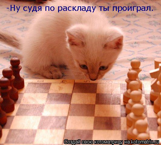Котоматрица: -Ну судя по раскладу ты проиграл.