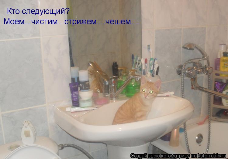 Кто следующий? Моем...чистим...стрижем....чешем....... Котоматрица: Кто следующий? Моем...чистим...стрижем....чешем....