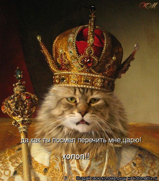 да как ты посмел перечить мне,царю! холоп!!... Котоматрица: да как ты посмел перечить мне,царю! холоп!!