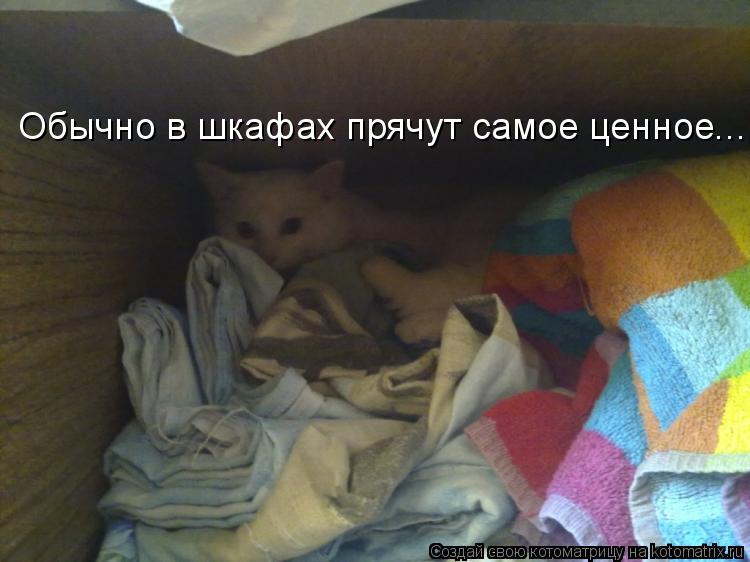 Обычно в шкафах прячут самое ценное...... Котоматрица: Обычно в шкафах прячут самое ценное...