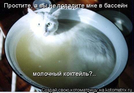 Простите, а вы не подадите мне в бассейн молочный коктейль?..... Котоматрица: Простите, а вы не подадите мне в бассейн молочный коктейль?..