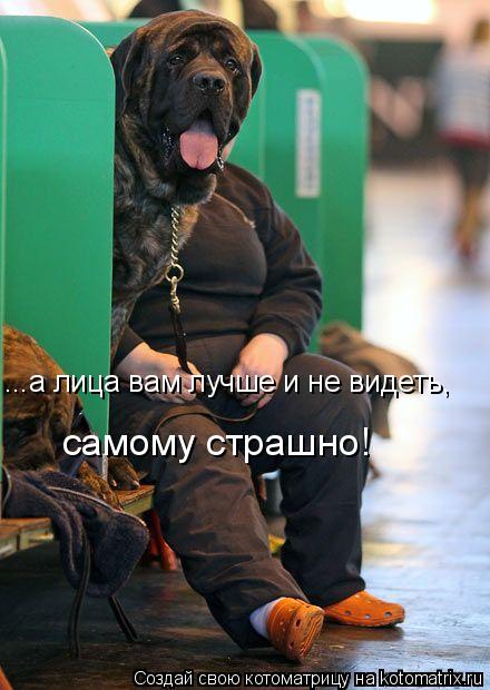 ...а лица вам лучше и не видеть, самому страшно!... Котоматрица: ...а лица вам лучше и не видеть, самому страшно!