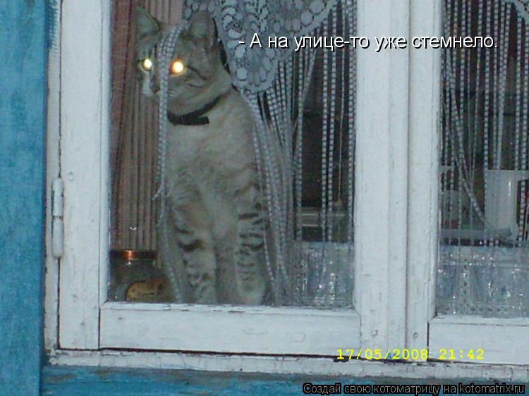 - А на улице-то уже стемнело.... Котоматрица: - А на улице-то уже стемнело.