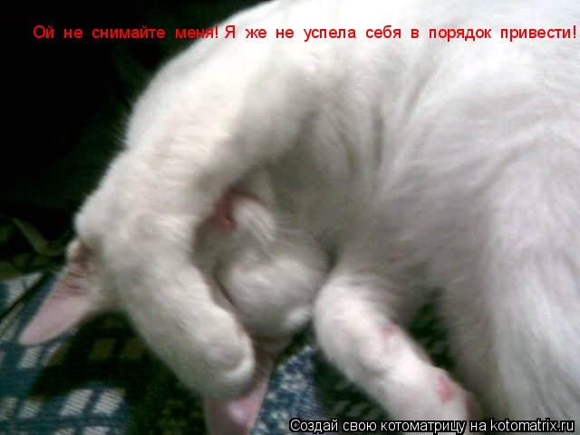 Ой не снимайте меня! Я же не успела себя в порядок привести!... Котоматрица: Ой не снимайте меня! Я же не успела себя в порядок привести!