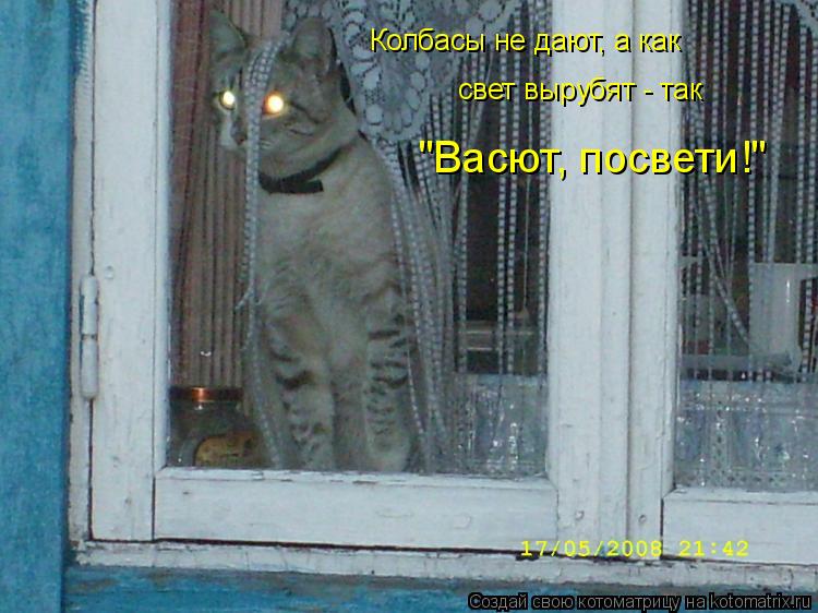Котоматрица: Колбасы не дают, а как свет вырубят - так "Васют, посвети!"