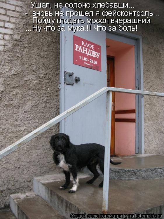 Котоматрица: -  вновь не прошел я фейсконтроль... Пойду глодать мосол вчерашний ...Ну что за мука!!! Что за боль! Ушел, не солоно хлебавши...