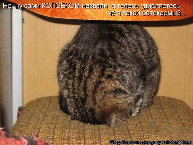 Котоматрица: Не, ну сами КОЛОБКОМ назвали, а теперь удивляетесь чё я такой обтекаемый...