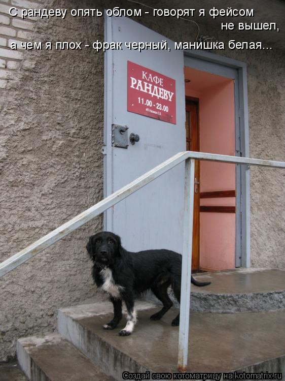 Котоматрица: С рандеву опять облом - говорят я фейсом не вышел,  а чем я плох - фрак черный, манишка белая...