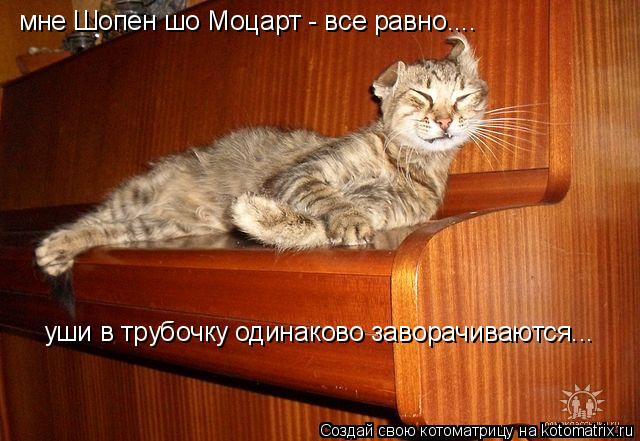 Котоматрица: мне Шопен шо Моцарт - все равно.... уши в трубочку одинаково заворачиваются...