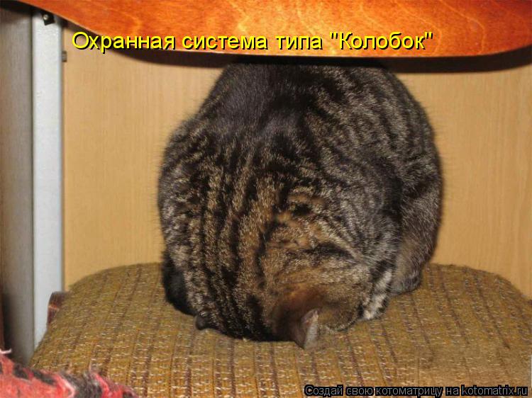 Котоматрица: Охранная система типа "Колобок"