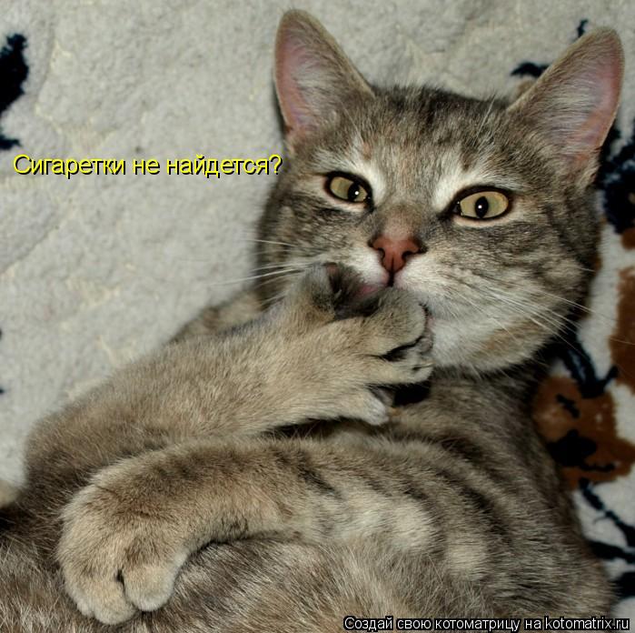 Котоматрица: Сигаретки не найдется?