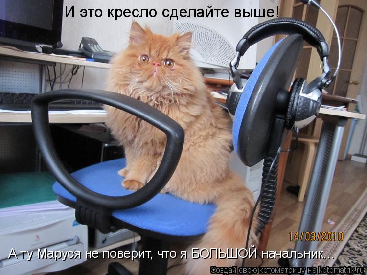 Котоматрица: И это кресло сделайте выше! А ту Маруся не поверит, что я БОЛЬШОЙ начальник...