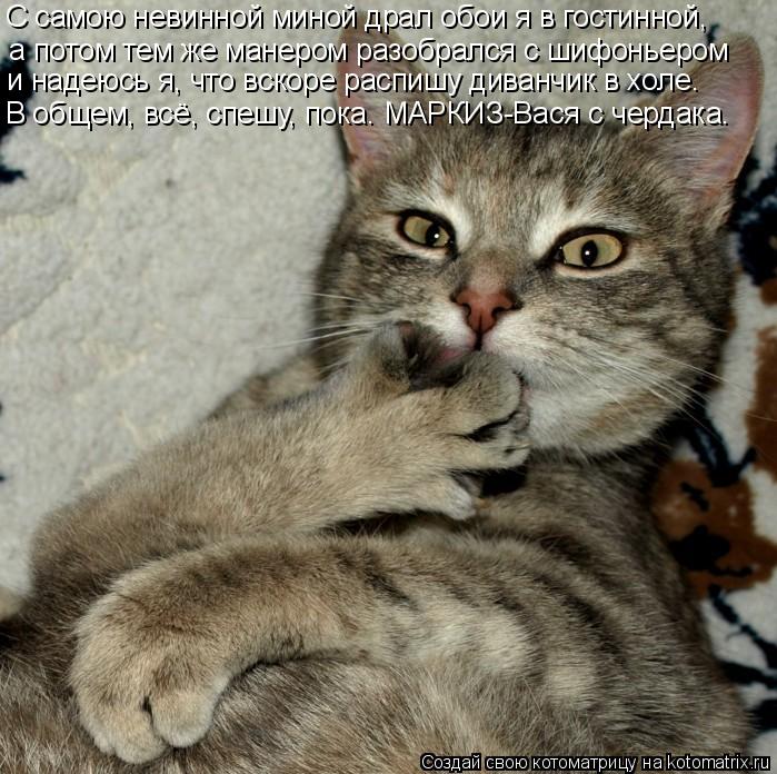 Котоматрица: а потом тем же манером разобрался с шифоньером и надеюсь я, что вскоре распишу диванчик в холе. В общем, всё, спешу, пока. МАРКИЗ-Вася с чердак