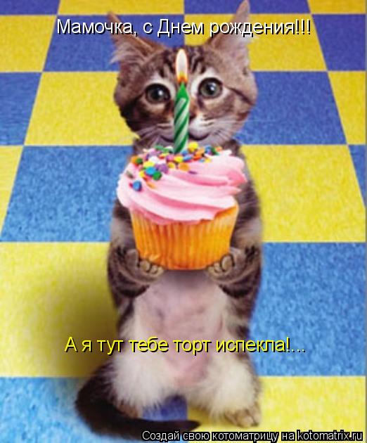 Котоматрица: Мамочка, с Днем рождения!!! А я тут тебе торт испекла!...