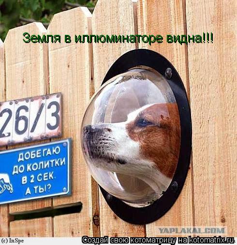 Котоматрица: Земля в иллюминаторе видна!!!