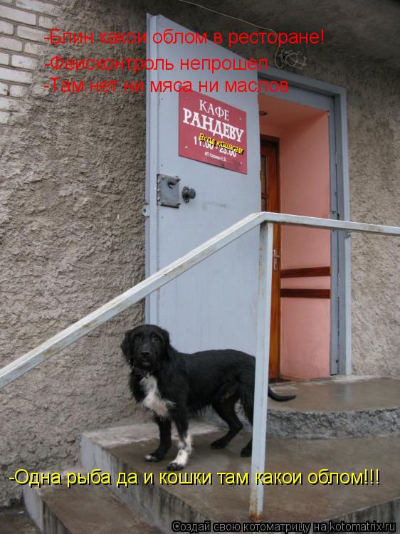 Котоматрица: -Блин какои облом в ресторане! -Феисконтроль непрошел -Там нет ни мяса ни маслов -Одна рыба да и кошки там какои облом!!! Вход кошкам