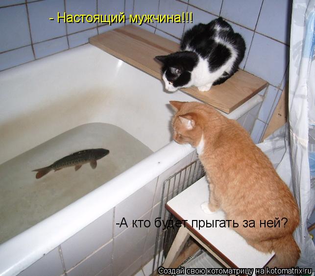 Котоматрица: -А кто будет прыгать за ней? - Настоящий мужчина!!!