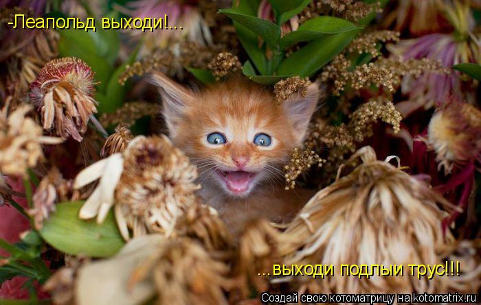 Котоматрица: ...выходи подлыи трус!!! -Леапольд выходи!...