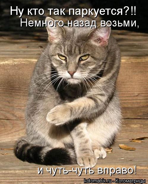 Котоматрица: Ну кто так паркуется?!! Немного назад возьми, и чуть-чуть вправо!