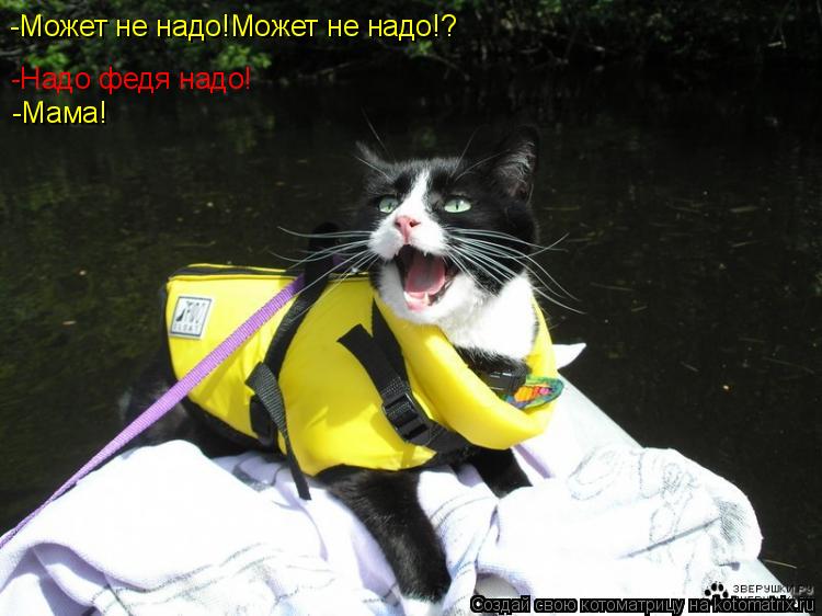Котоматрица: -Надо федя надо! -Мама! -Может не надо!Может не надо!?