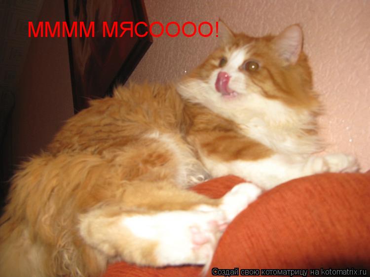 Котоматрица: ММММ МЯСОООО!