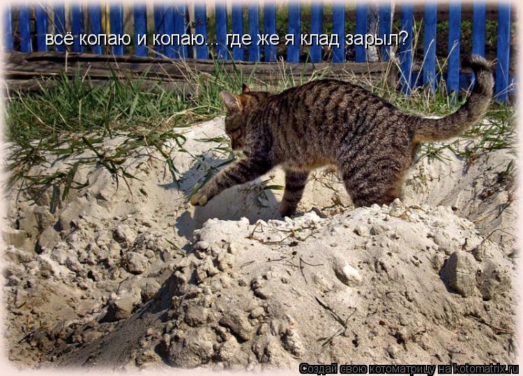 Котоматрица: всё копаю и копаю... где же я клад зарыл?