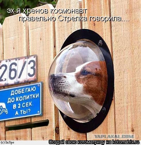Котоматрица: эх я хренов космонавт правельно Стрелка говорила....