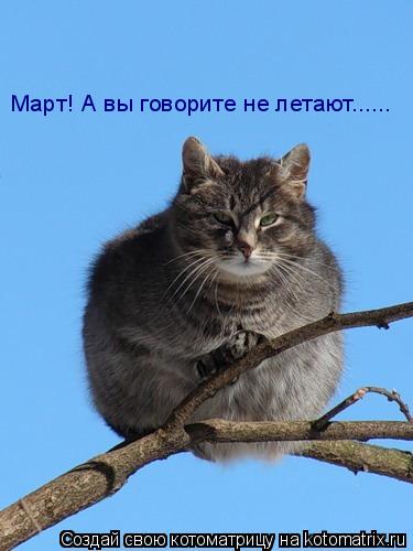 Котоматрица: Март! А вы говорите не летают......