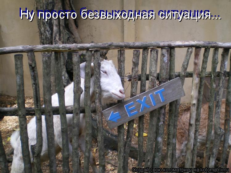 Ну просто безвыходная ситуация... Ну просто безвыходная ситуация...... Котоматрица: Ну просто безвыходная ситуация... Ну просто безвыходная ситуация...