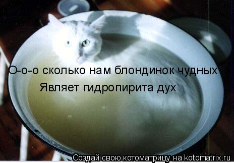 Котоматрица: О-о-о сколько нам блондинок чудных Являет гидропирита дух
