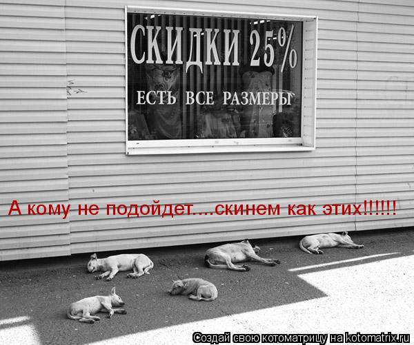 Котоматрица: А кому не подойдет....скинем как этих!!!!!!