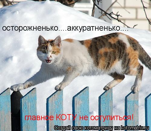 Котоматрица: осторожненько....аккуратненько.... главное КОТУ не оступиться!