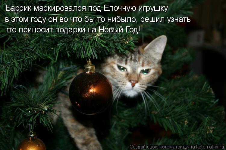 Котоматрица: Барсик маскировался под Елочную игрушку в этом году он во что бы то нибыло, решил узнать кто приносит подарки на Новый Год!