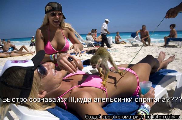 Котоматрица: Быстро сознавайся!!!,куда апельсинки спрятала????