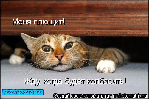 Котоматрица: Меня плющит! Жду, когда будет колбасить!