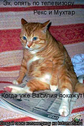 Котоматрица: Эх, опять по телевизору  Рекс и Мухтар Когда уже Василия покажут!