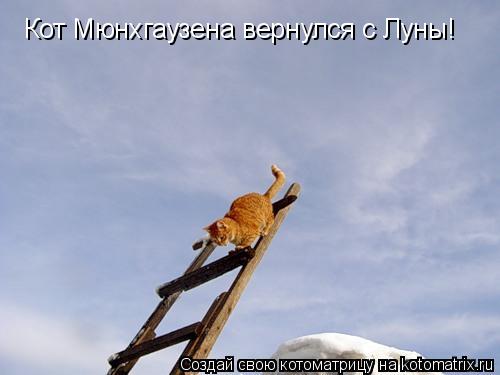 Котоматрица: Кот Мюнхгаузена вернулся с Луны!