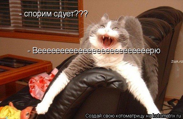 - спорим сдует??? - Вееееееееееееееееееееееееерю... Котоматрица: - спорим сдует??? - Вееееееееееееееееееееееееерю