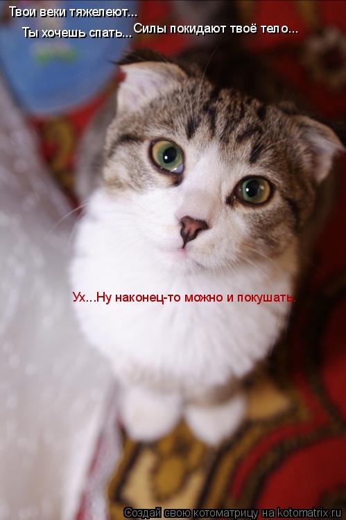 Твои веки тяжелеют... Силы покидают твоё тело... Ты хочешь спать... Ух...Ну наконец-то можно и покуша... Котоматрица: Твои веки тяжелеют... Силы покидают твоё тело... Ты хочешь спать... Ух...Ну наконец-то можно и покушать.