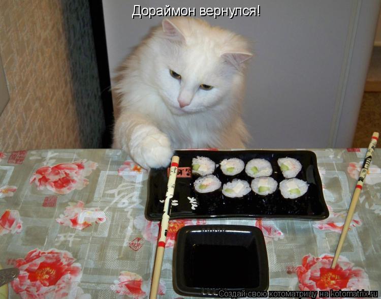 Дораймон вернулся!... Котоматрица: Дораймон вернулся!
