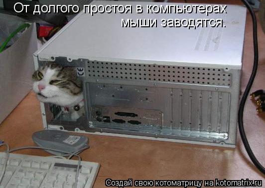 От долгого простоя в компьютерах мыши заводятся.... Котоматрица: От долгого простоя в компьютерах мыши заводятся.